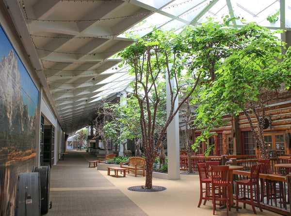 Suite 79 - Village Green Town Center